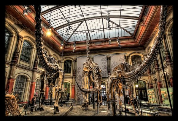 CSS and Markup in Javascript is an Evolutionary Dead End