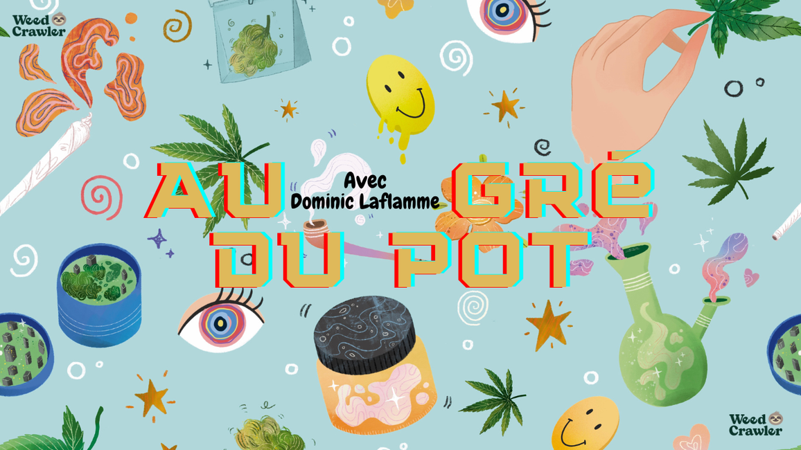 E01 - Dominic Laflamme - Exka