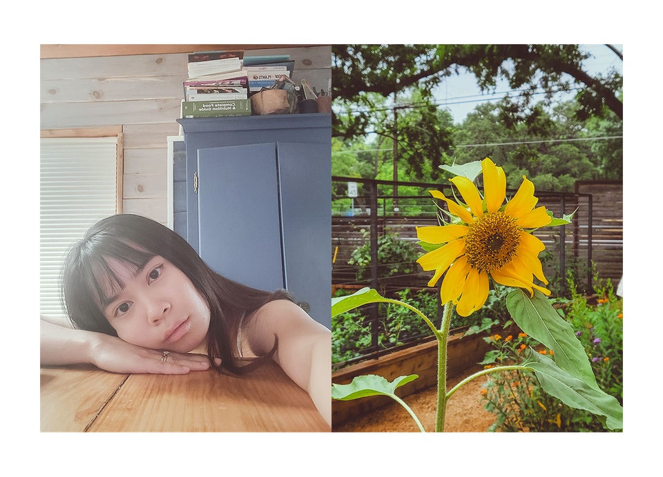 Fragments of summer