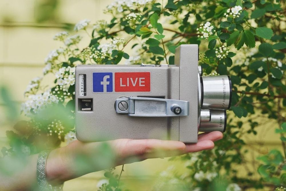 Luxury & Live video