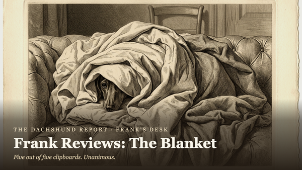 From Frank's Desk: Frank Reviews The Blanket