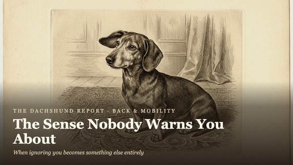 Dachshund Hearing Loss: The Sense Nobody Warns You About