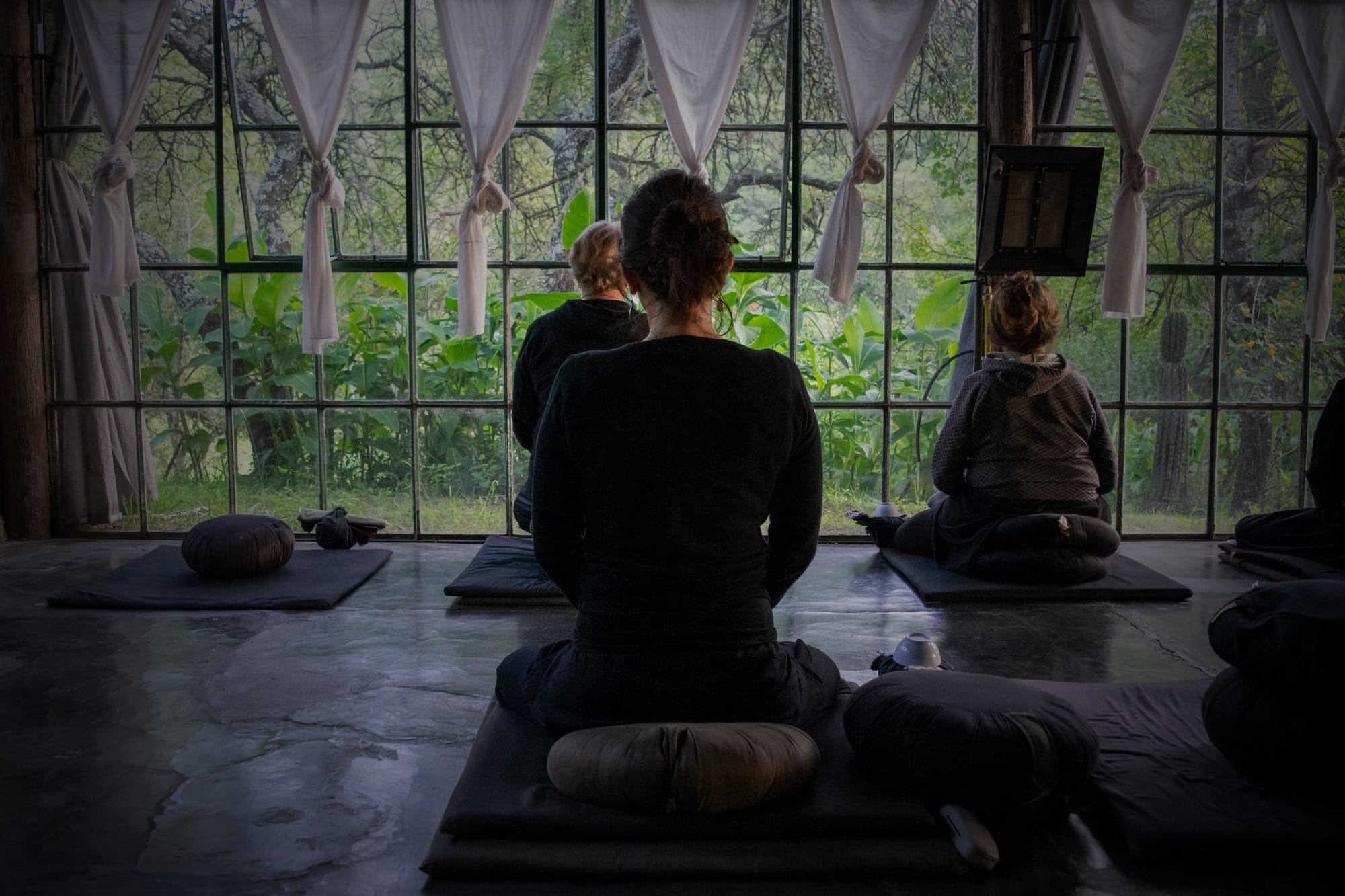 Diamond Sangha Journal
