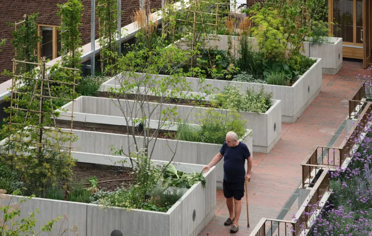 Housing designed to combat loneliness wins top architecture award Post feature image