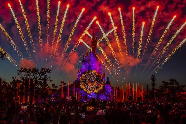The 5 reasons why the “Disney Dream” causes start-ups to fail Post feature image