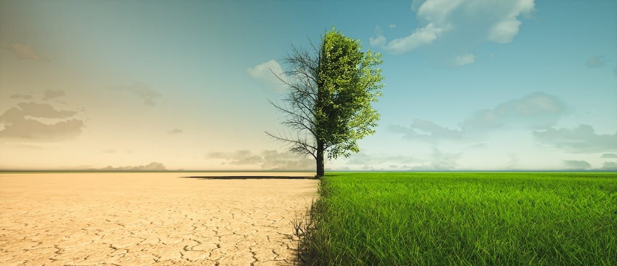 Transitioning from a Legacy Endorsing Body to Innovator International Post feature image