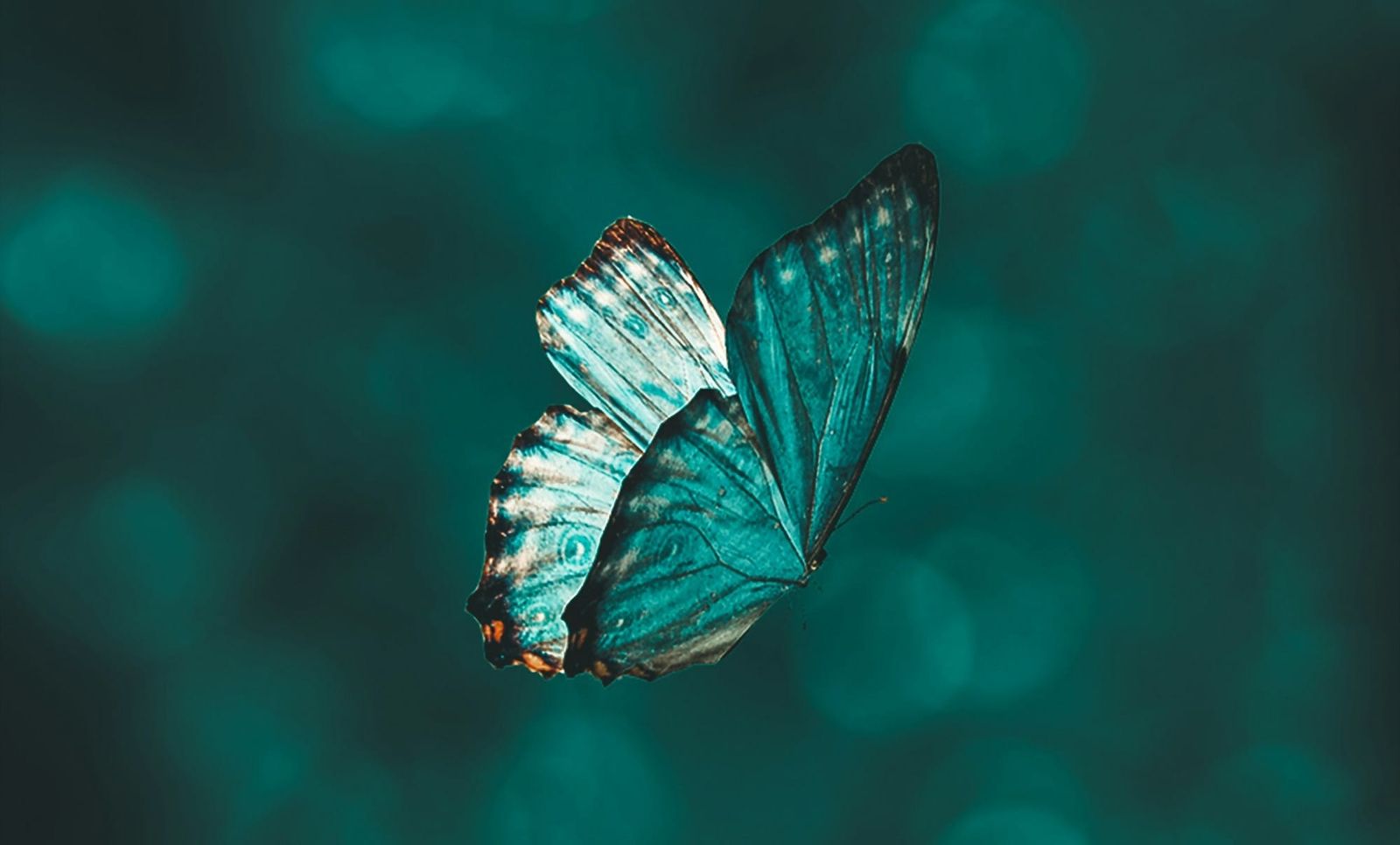 Change isn't failure, it's feedback Post feature image