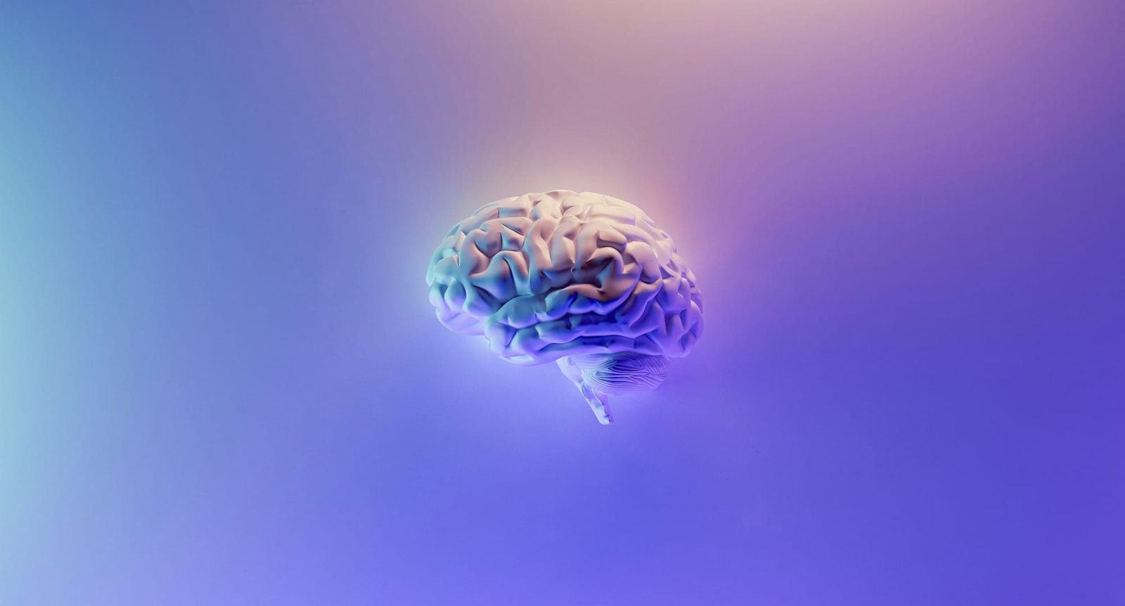 Innovation, investment and what's coming next Post feature image