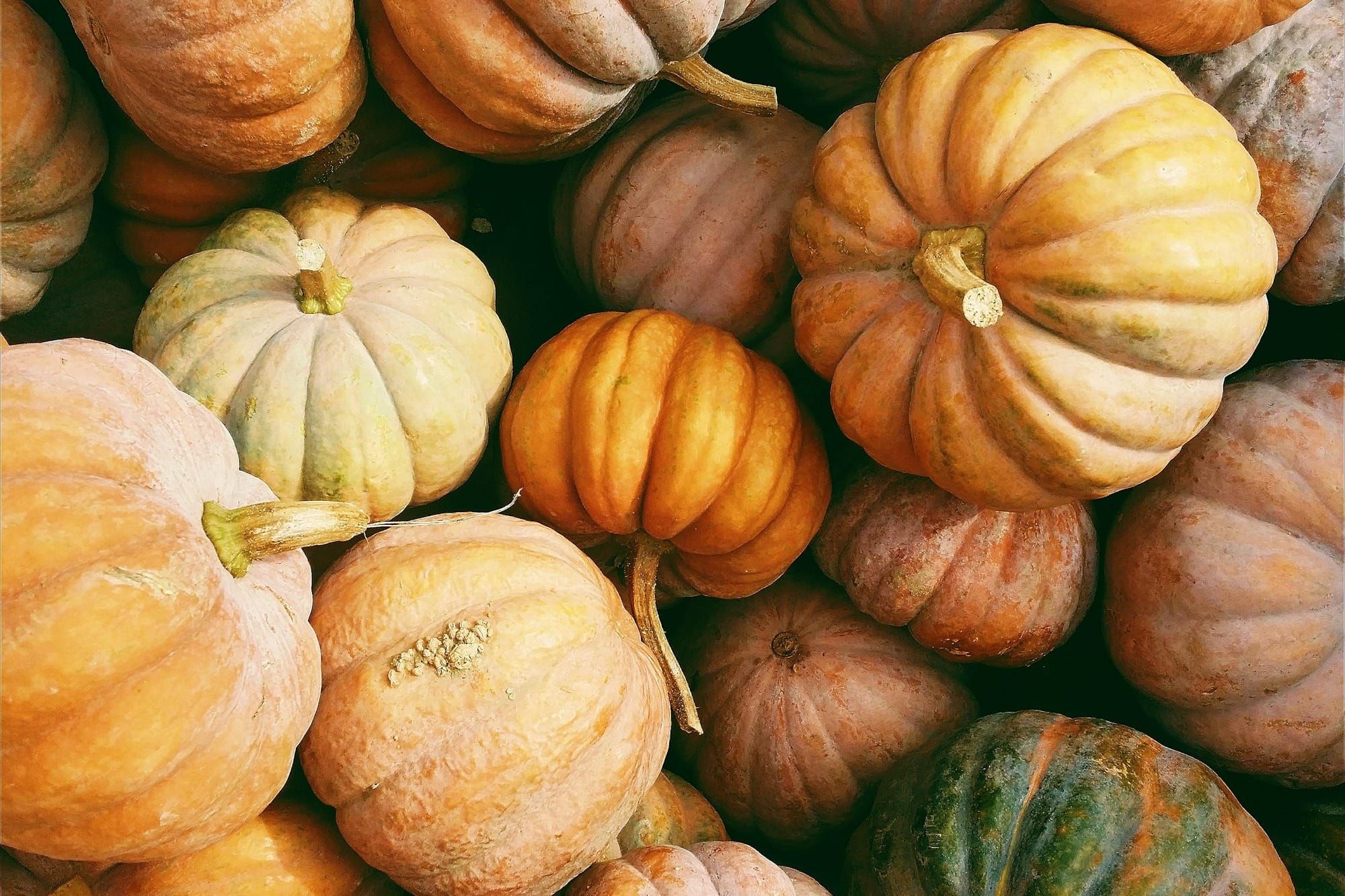 Your October recap, and a very happy Halloween 🎃 Post image