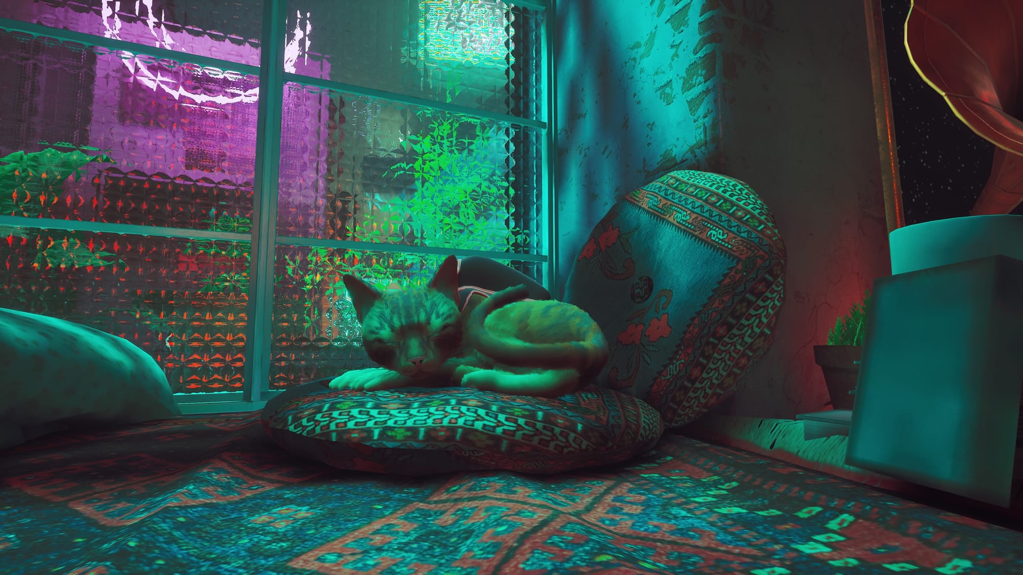 A small orange cat curled up on a pillow. A blue neon light illuminates the room.