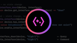 The Schema-Driven LLM Query Pattern