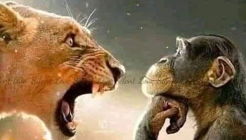 Intelligence Builds What Fear Cannot