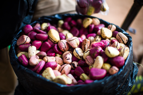 The Mightly Kola Nut