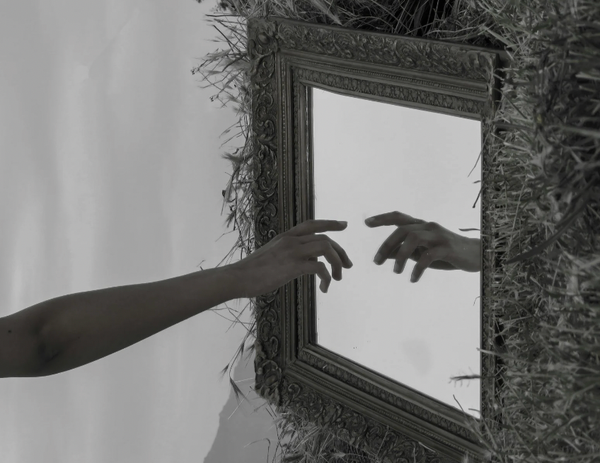 Mirrors & Heros
