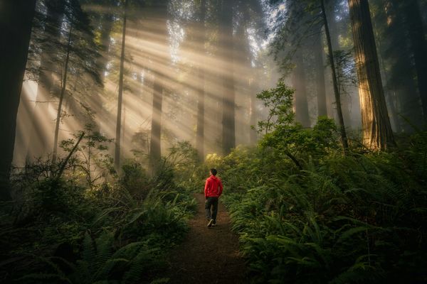 The Power Of Detachment