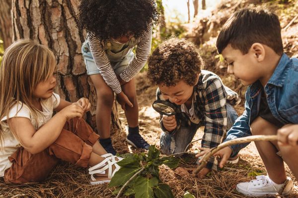 Educating A New Generation: A Natural Perspective