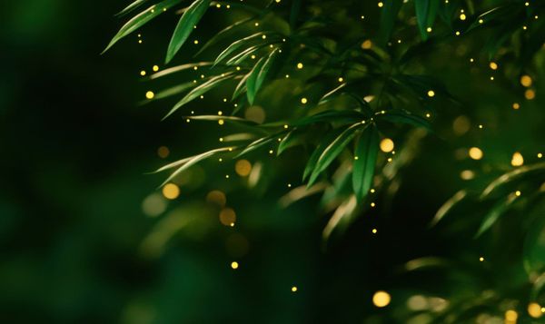 When the Light Was Thin: The First Sparks of the New Era still Shone