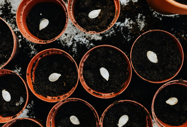 There is no action that ends: A personal reflection