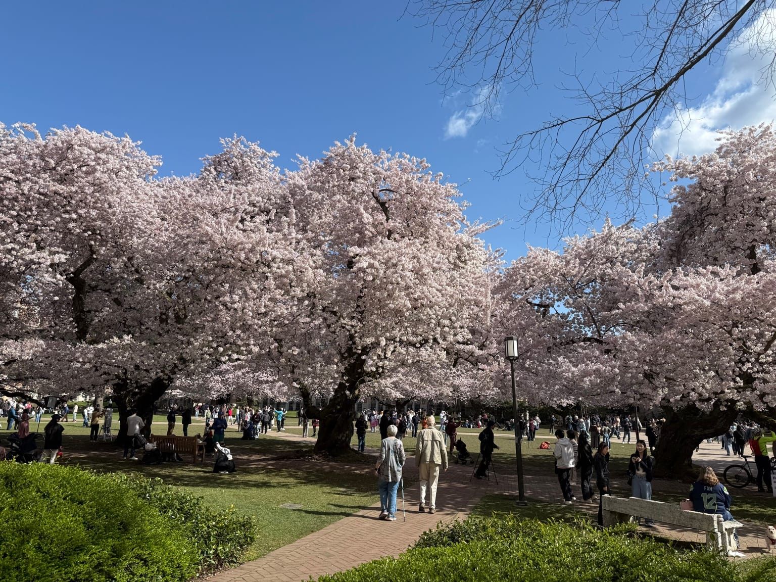 西雅圖華盛頓大學  (UW)- 生活篇