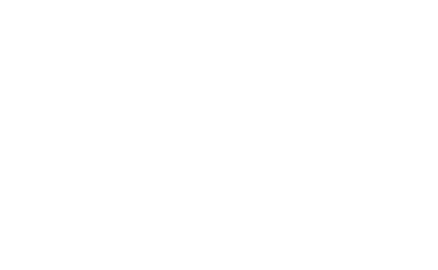 Zenith Guides Snow Info
