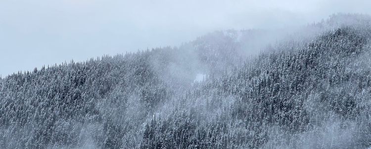 Jan 4th Sea to Sky Snow Conditions