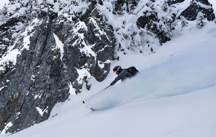 Zenith courses and trips are open!