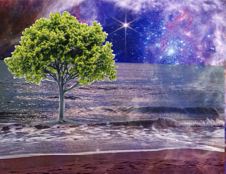 Environment