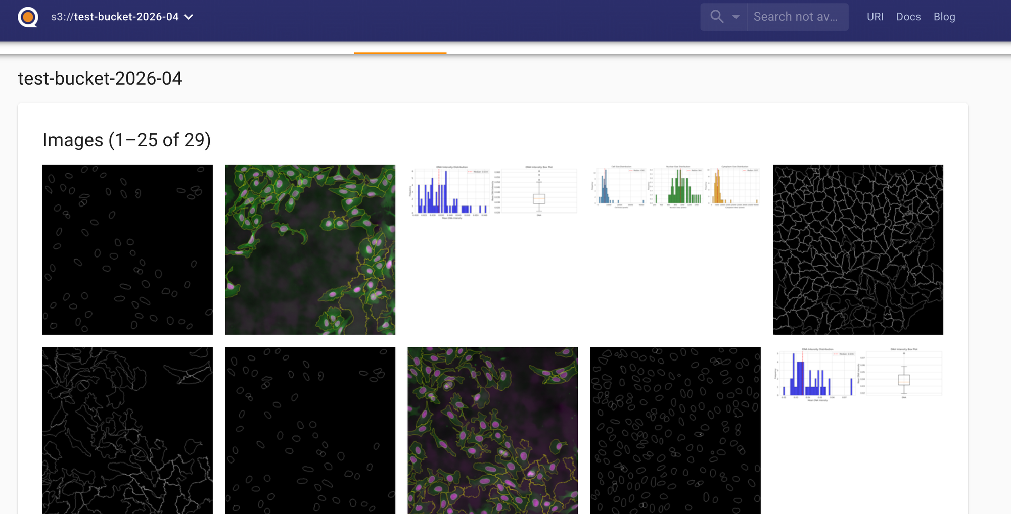 Quilt's homepage showing cellpainting package