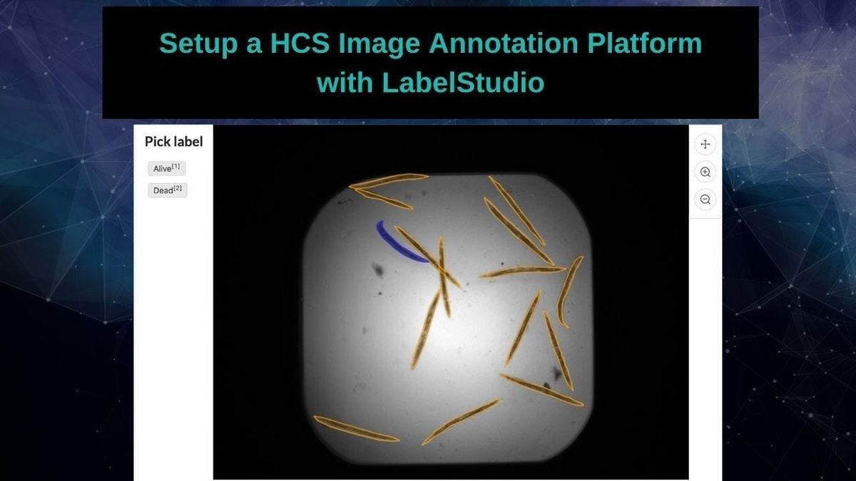 Setup a High Content Screening Imaging Platform with Label Studio