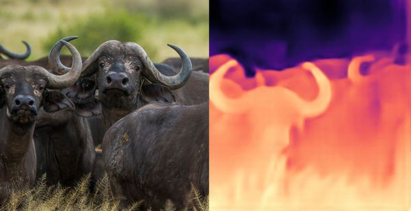Meta AI Unveils DINOv2: A Game-Changer in Self-Supervised Vision Transformer Models