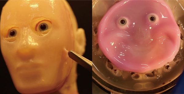 Living Skin Makes Robots More Human-Like