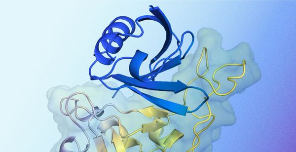 Google DeepMind Unveils Powerful New AI for Designing Protein Binders