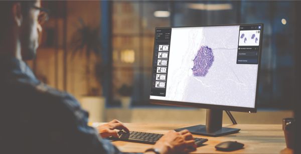 Microsoft Adds 3 New Multimodal Medical Imaging AI Models to Azure