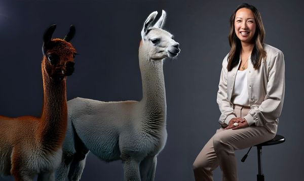 Meta Brings in Clara Shih to Lead Business AI Group
