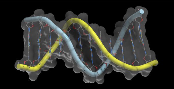 NVIDIA and Arc Institute Introduce Evo 2, A State of the Art Foundation Model for Biology