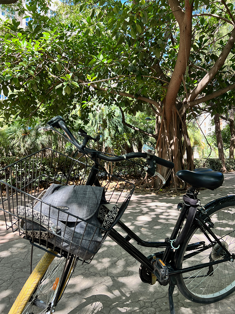 Balancing Freedom & Structure in Valencia