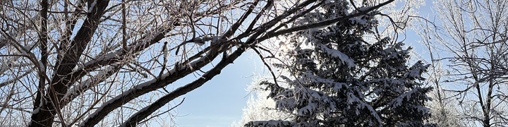 Sunshine and Crackles