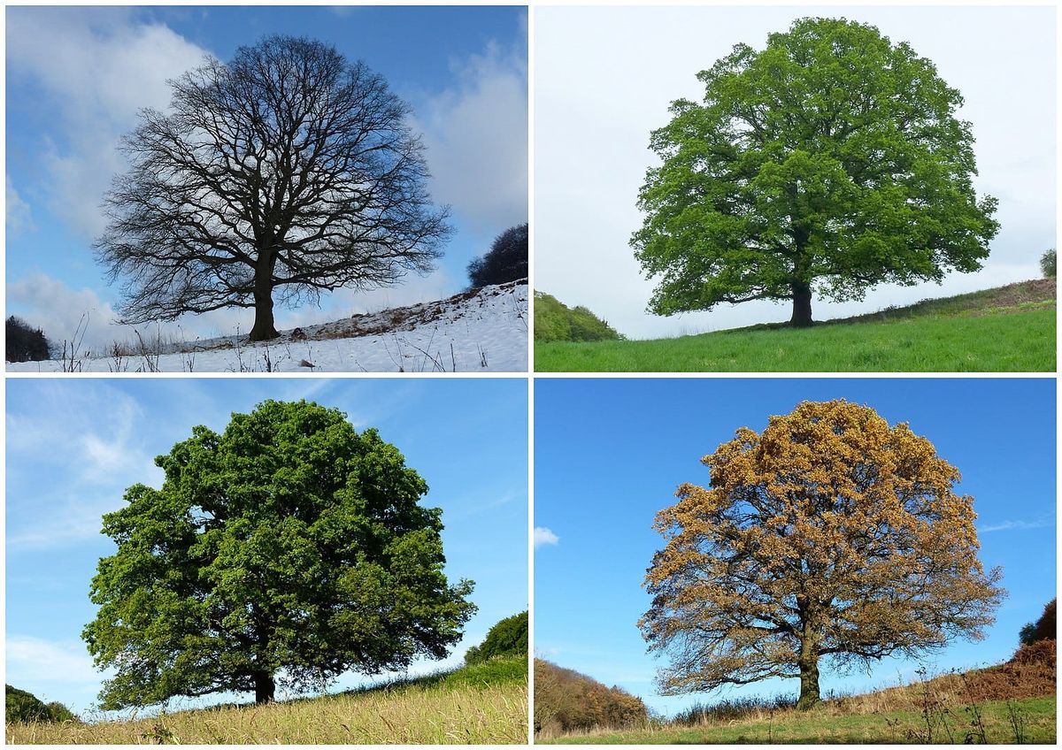 Seasons change, systems change