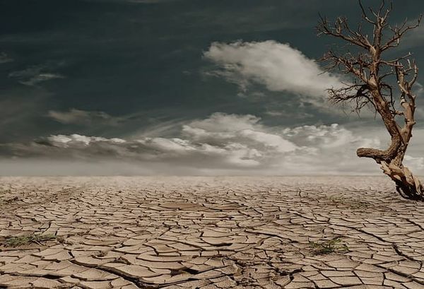 The Tasks of the Dead and the Earth