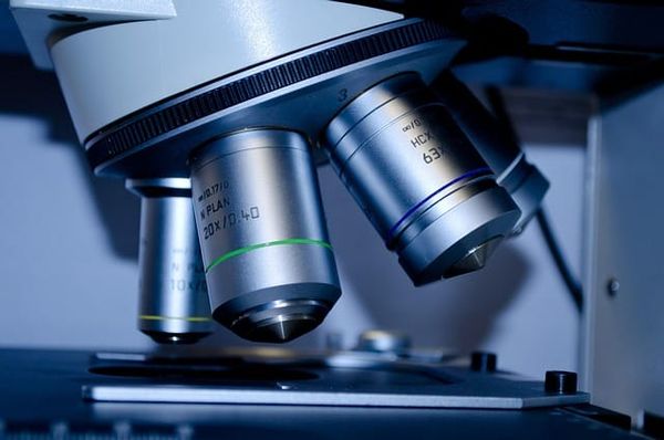 Microscope Protocol Re-framing — a practical, disciplined guide