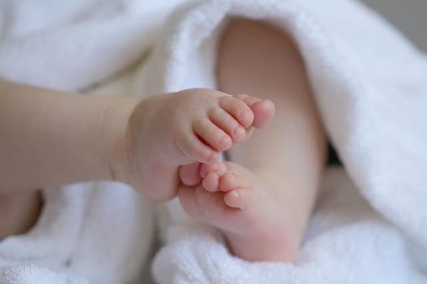 Morphology Series: 4. The Feet and the Mystery of Grounding