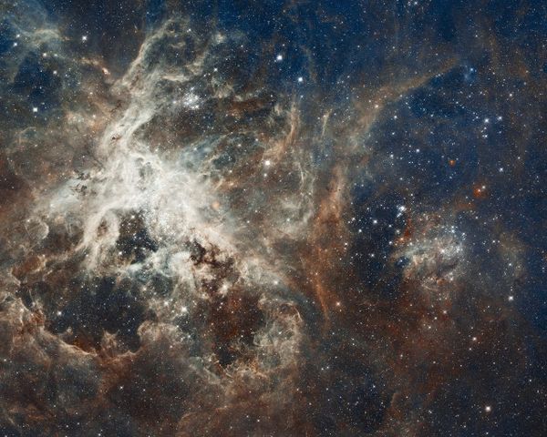 Morphology Series: 7. The Human Form as Cosmic Memory