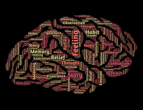 The Threefold Brain: Light, Warmth, and Will in the Human Head