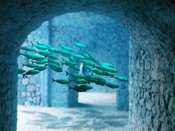Atlantis, Power, and the Modern Return of Pre-Moral Forces
