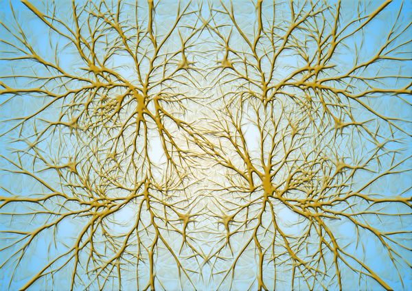 Knowledge of the Higher Worlds and Neuroplasticity