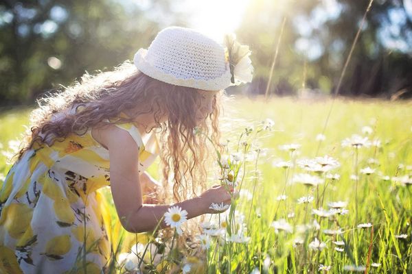 Knowledge of the Higher Worlds and Childhood Consciousness