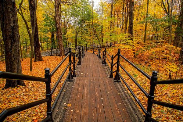 Metaphysics of the Canadian State