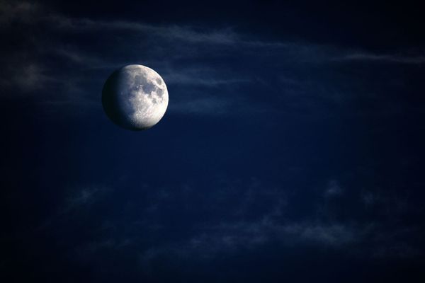 The Beings Inhabiting the Moon