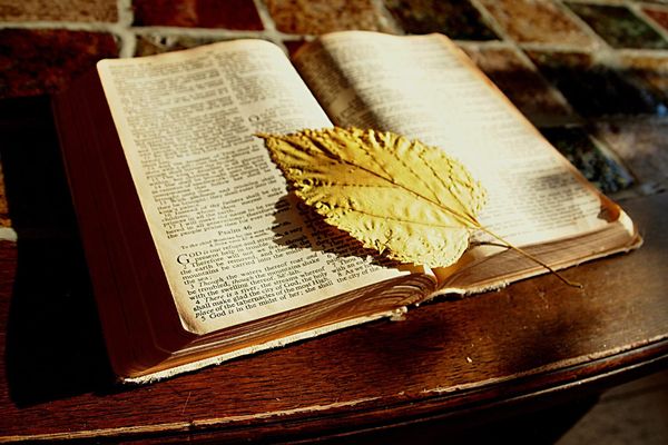 Scriptural Literalism and he "Self-Fulfilling Prophecy" Loop