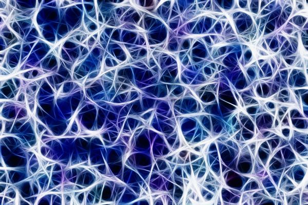 The Great Neurological Illusion: Re-reading the Nerves
